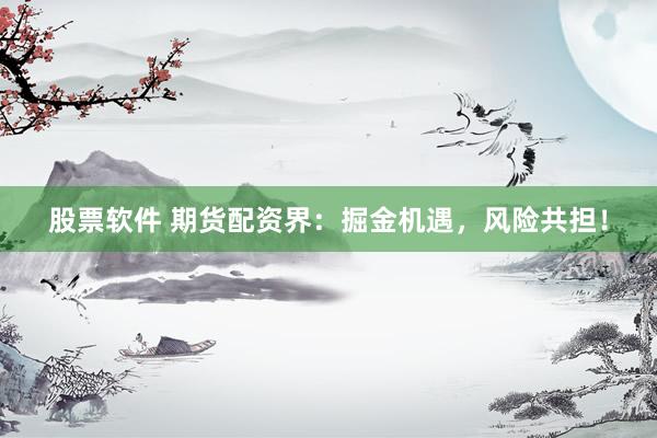 股票软件 期货配资界：掘金机遇，风险共担！