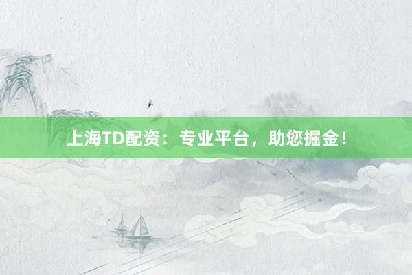 上海TD配资：专业平台，助您掘金！