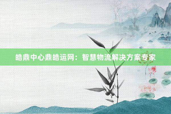 皓鼎中心鼎皓运网：智慧物流解决方案专家