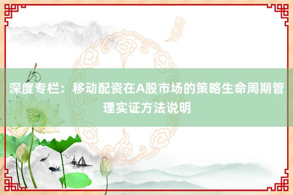 深度专栏：移动配资在A股市场的策略生命周期管理实证方法说明