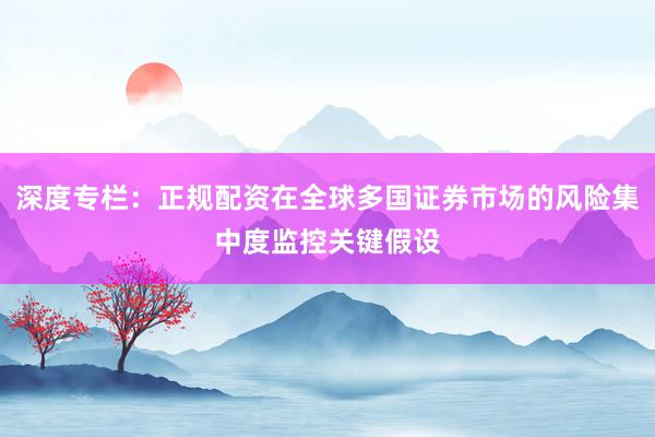 深度专栏：正规配资在全球多国证券市场的风险集中度监控关键假设