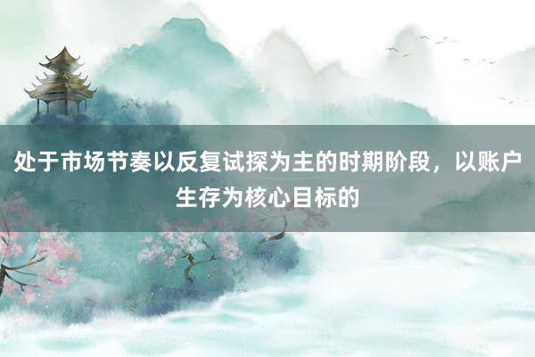 处于市场节奏以反复试探为主的时期阶段，以账户生存为核心目标的